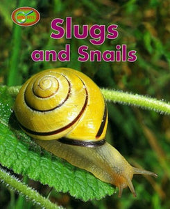 Slugs and Snails 