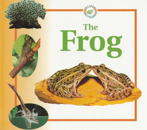 The Frog 