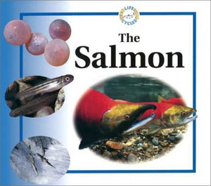 The Salmon 