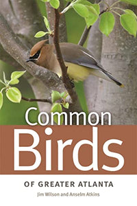 Common Birds of Greater Atlanta 