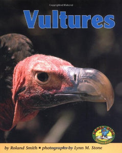 Vultures 