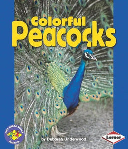 Colorful Peacocks 