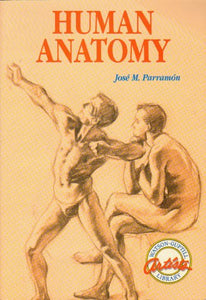 Human Anatomy 