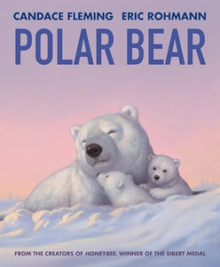 Polar Bear 