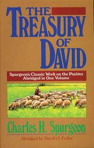 The Treasury of David 