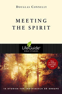 Meeting the Spirit 