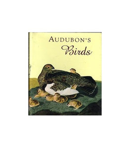 Audubon's Birds 