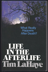 Life in the afterlife 