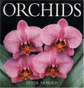 Orchids 