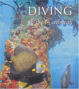 Diving in the Caribbean 