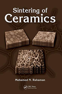 Sintering of Ceramics 