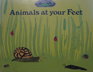 Animals at Your Feet 