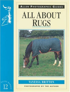 All About Rugs 