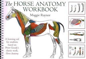 Horse Anatomy Workbook 