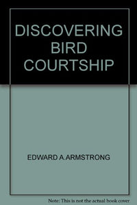 Bird Courtship 