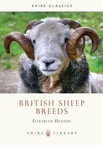 British Sheep Breeds 