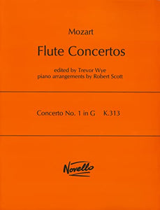 Concerto No.1 In G K.313 