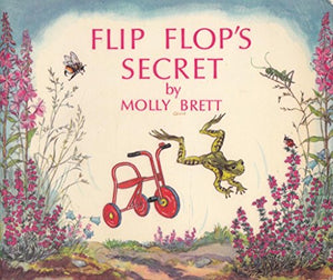 Flip Flop's Secret 