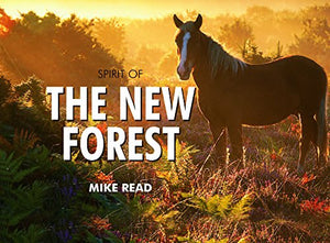 Spirit of the New Forest 