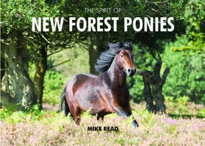 The Spirit of New Forest Ponies 