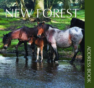 New Forest Address Book 