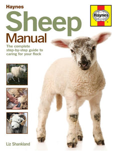 Sheep Manual 