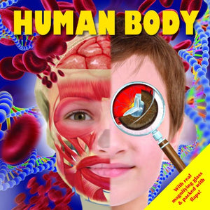 Human Body 