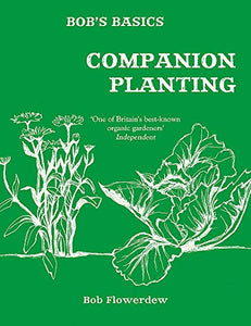 Bob's Basics: Companion Planting 