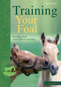 Training Your Foal 