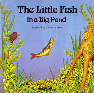 The Little Fish in a Big Pond 