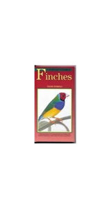 FINCHES 