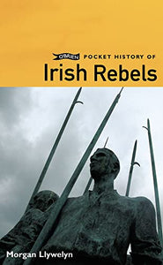 O'Brien Pocket History of Irish Rebels 