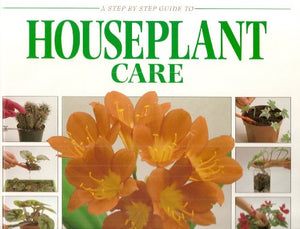 Houseplant Care 