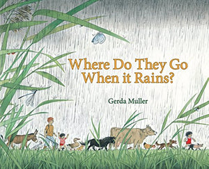 Where Do They Go When It Rains? 