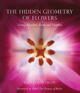 The Hidden Geometry of Flowers 