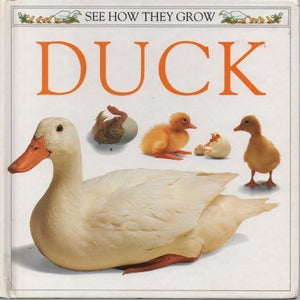 See How They Grow:  04 Duck 