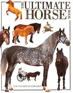 Ultimate Horse Book 