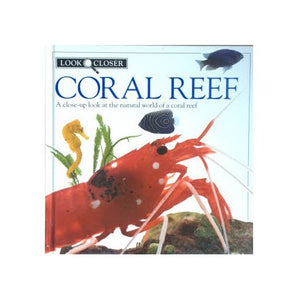 4 Coral Reef 