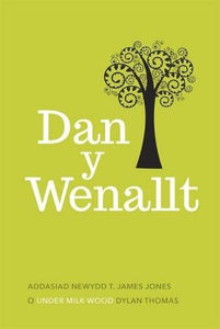 Dan y Wenallt 