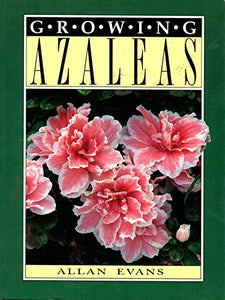 Growing Azaleas 