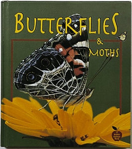 Butterflies and Moths 