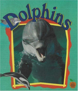 Dolphins 