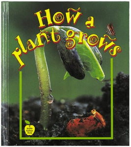 How a Plant Grows 