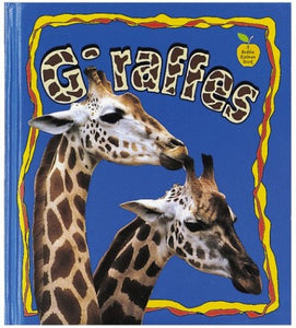 Giraffes 