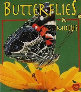 Butterflies and Moths 