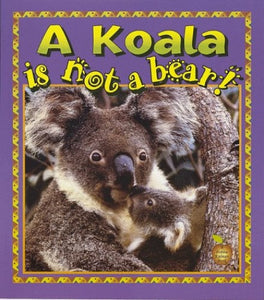 A Koala is Not a Bear 