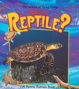 What Is A Reptile 