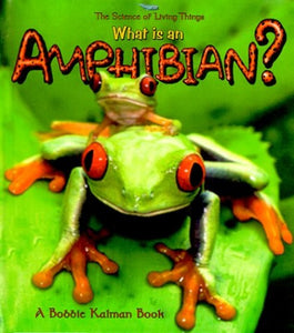 What is an Amphibian? 