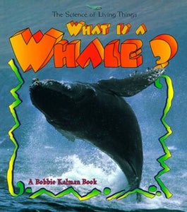 What Is A Whale 