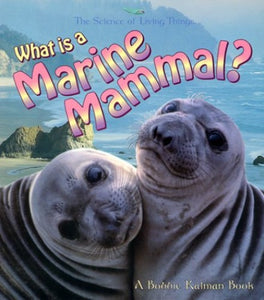 What Is A Marine Mammal 